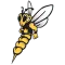 Wisconsin Superior Yellowjackets