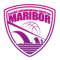 Zkd Maribor