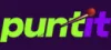 Puntit
