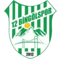 12 Bingol Spor
