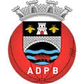 AD Ponte da Barca