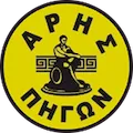 Ams Aris Pigon