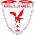 Ariesul Turda