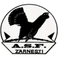 Asc Olimpic Zarnesti