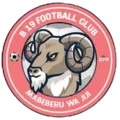 B19 FC
