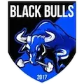 Black Bulls FC