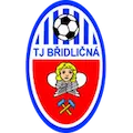 Bridlicna