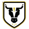 BULLS FC ACADEMY