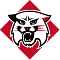 Davidson Wildcats