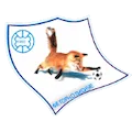 FK Euromilk Gorno Lisice
