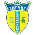 FK Gigant Saedinenie