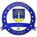 FK Tj Sokol Brezovica