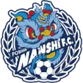 Foshan Nanshi FC