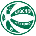 Gaucho Passo Fundo