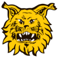 Ilves
