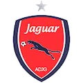Jaguar PE