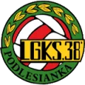 Lgks 38 Podlesianka Katowice