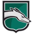 Loyola Maryland Greyhounds