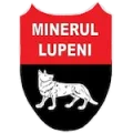 Minerul Lupeni