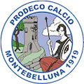 Calcio Montebelluna 1919