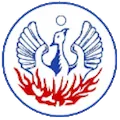 FAS Naousa
