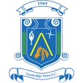 Newbridge Town FC
