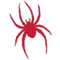 Richmond Spiders