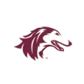 Southern Illinois Salukis