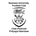 Universidade De Swansea