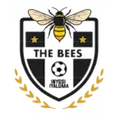 The Bees FC