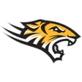 Towson Tigers