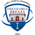 CS Tricolorul Breaza