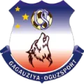 Univer-Oguzsport