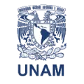 Pumas Unam