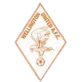 WELLINGTON UNITED DIAMONDS
