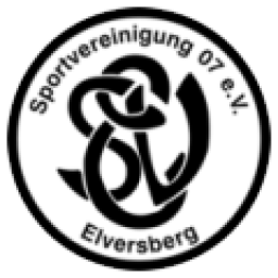 Spvgg Elversberg