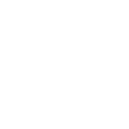 Randers Fc