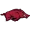 Arkansas Razorbacks
