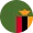 Zambie F