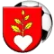 1. FK Buzitka