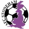 AFC Stoneham