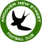 Andover New Street FC
