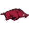 Arkansas Razorbacks