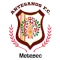 Artesanos Metepec FC