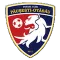 Asfc Pausesti Otasau