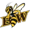 Baldwin Wallace Yellow Jackets