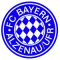 FC Bayern Alzenau 1920