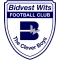 Bidvest Wits