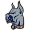 Bluefield State Big Blue