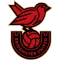 Bridgwater United Women